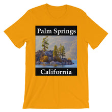Palm Springs t-shirt