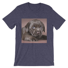Puppy t-shirt