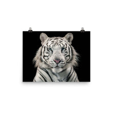 White Tiger poster
