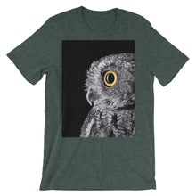 Owl t-shirt