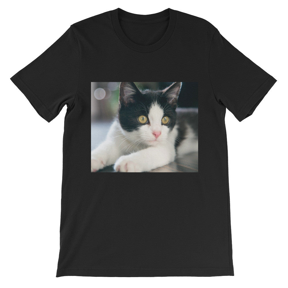 Kitten t-shirt
