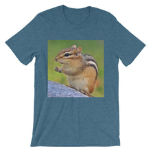 Chipmunk t-shirt