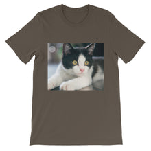 Kitten t-shirt