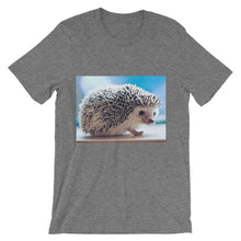 Hedgehog t-shirt