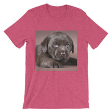 Puppy t-shirt