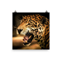 Jaguar poster