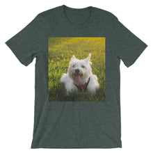 Dog t-shirt