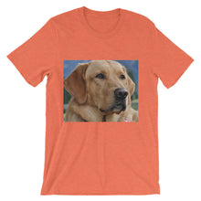 Dog t-shirt