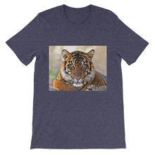 Tiger t-shirt