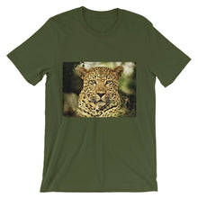 Leopard t-shirt
