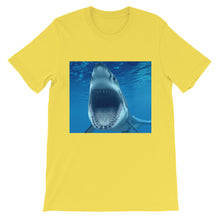Shark t-shirt