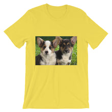 Corgis t-shirt
