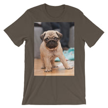 Pug t-shirt