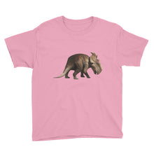 Dinosaur Youth Short Sleeve T-Shirt