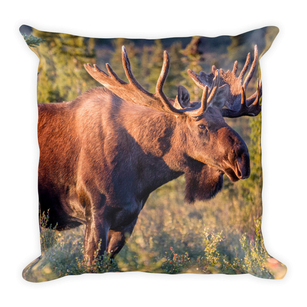 Moose Pillow