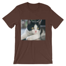 Kitten t-shirt