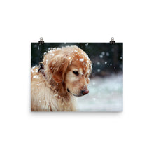 Snow Dog poster