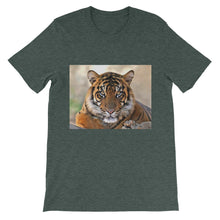 Tiger t-shirt
