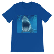 Shark t-shirt