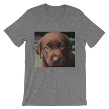 Puppy t-shirt