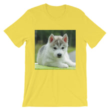 Puppy t-shirt