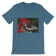 Butterfly t-shirt