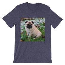 Pug t-shirt