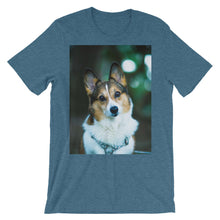 Corgi t-shirt