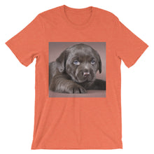 Puppy t-shirt