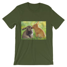 Rabbits t-shirt