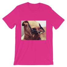 Dog with glasses t-shirt