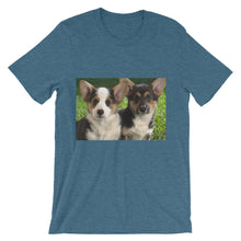 Corgis t-shirt