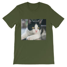 Kitten t-shirt