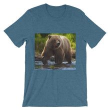 Bear t-shirt
