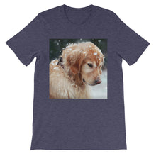 Dog t-shirt