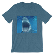 Shark t-shirt