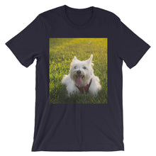 Dog t-shirt