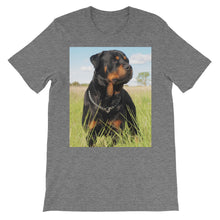 Rottweiler t-shirt