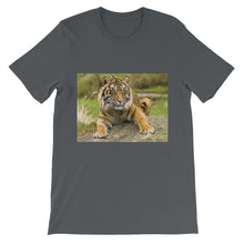 Endangered Species t-shirt