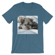 Yorkie Puppy t-shirt