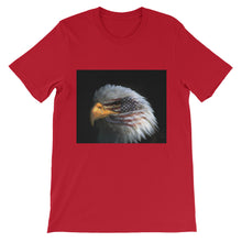 American Eagle t-shirt