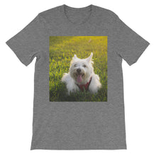 Dog t-shirt