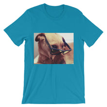 Dog with glasses t-shirt