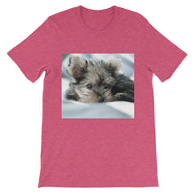 Yorkie Puppy t-shirt
