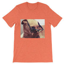 Dog with glasses t-shirt