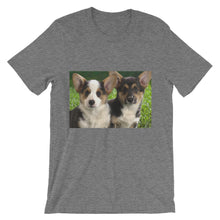 Corgis t-shirt