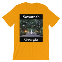 Savannah t-shirt