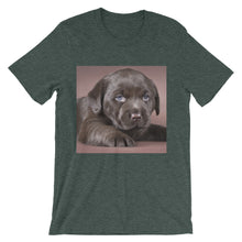 Puppy t-shirt