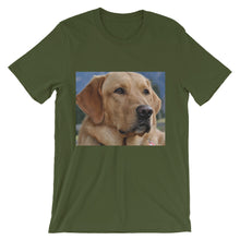 Dog t-shirt