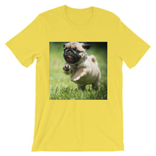Pug t-shirt
